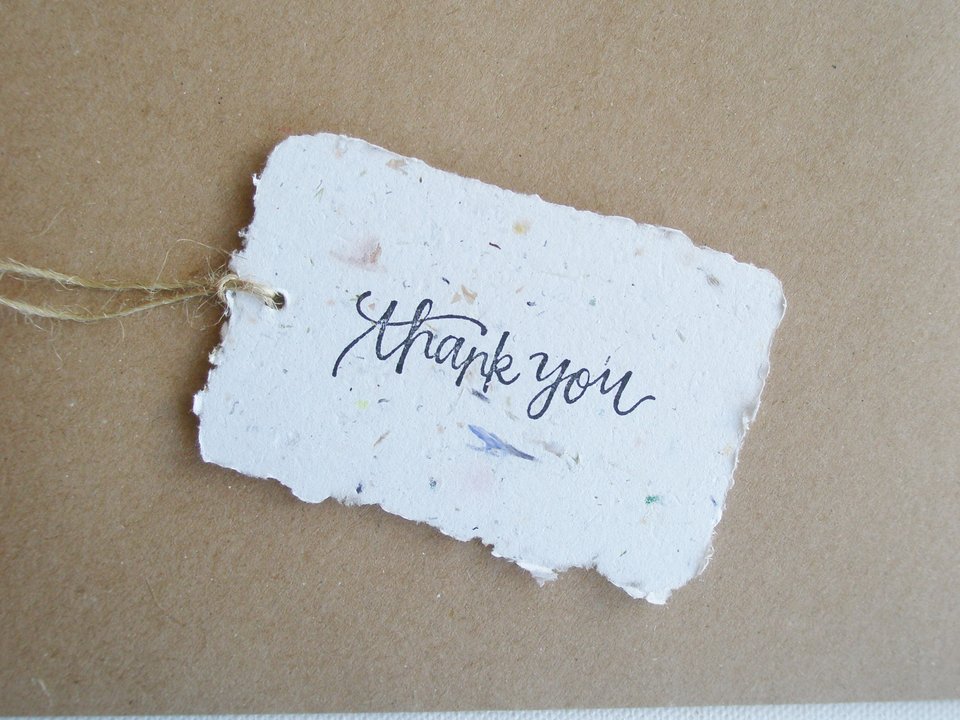 100 THANK YOU Tags - Neutral Tones