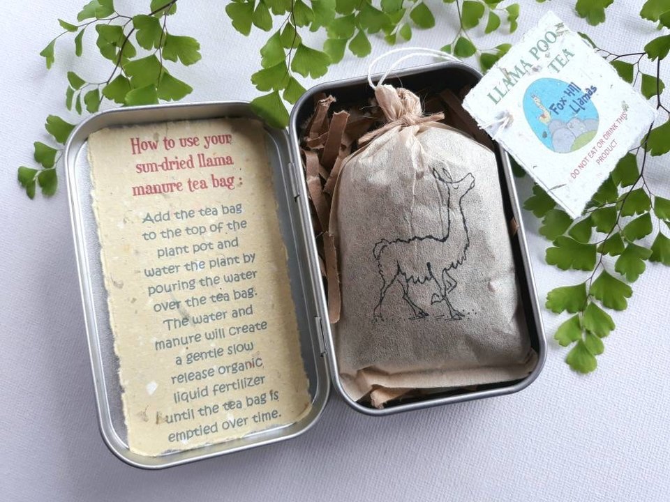 Indoor Plant Gift, Llama POO House Plant Pamper Pack, Indoor Plants, Fertilizer, Organic Care Garden Tea bag, plant lover, Planter, Eco Kit