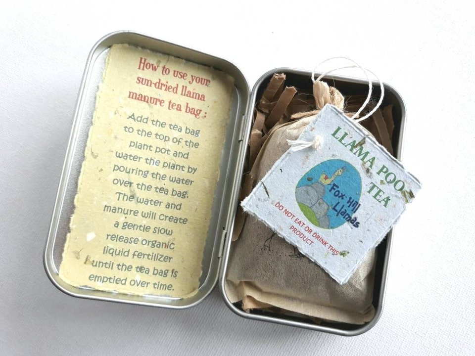Indoor Plant Gift, Llama POO House Plant Pamper Pack, Indoor Plants, Fertilizer, Organic Care Garden Tea bag, plant lover, Planter, Eco Kit