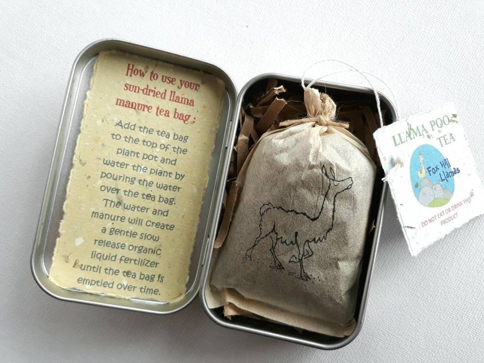 Indoor Plant Gift, Llama POO House Plant Pamper Pack, Indoor Plants, Fertilizer, Organic Care Garden Tea bag, plant lover, Planter, Eco Kit