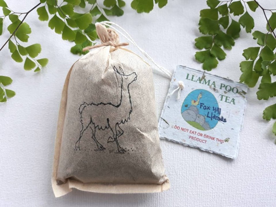 Indoor Plant Gift, Llama POO House Plant Pamper Pack, Indoor Plants, Fertilizer, Organic Care Garden Tea bag, plant lover, Planter, Eco Kit