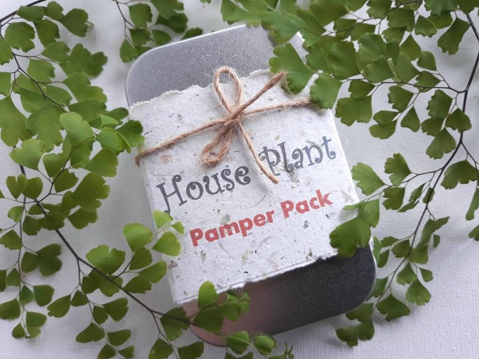 Indoor Plant Gift, Llama POO House Plant Pamper Pack, Indoor Plants, Fertilizer, Organic Care Garden Tea bag, plant lover, Planter, Eco Kit