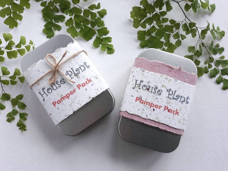 Indoor Plant Gift, Llama POO House Plant Pamper Pack, Indoor Plants, Fertilizer, Organic Care Garden Tea bag, plant lover, Planter, Eco Kit