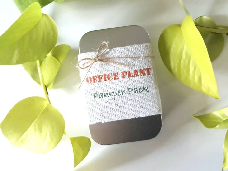 Office Gift, Office Plant Gift, Novelty, Pamper Pack, Indoor Plants, Fertilizer, Organic Care, Office Humor, Colleague, Plant Lover Gift