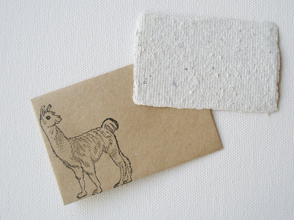 Card and envelope, Llama Poo Paper card, Handmade card, Recycled card, Gift Card, mini card, florist card, card with envelope, small card