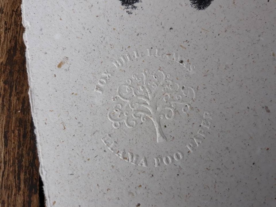 Baby Llama Footprint on Poo Paper