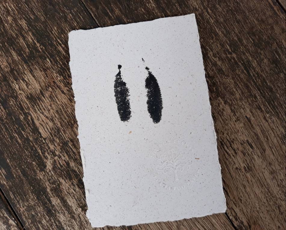Baby Llama Footprint on Poo Paper