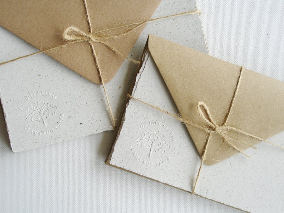 Llama Poo Paper Letter Set. Handmade recycled writing paper for children 6x4"