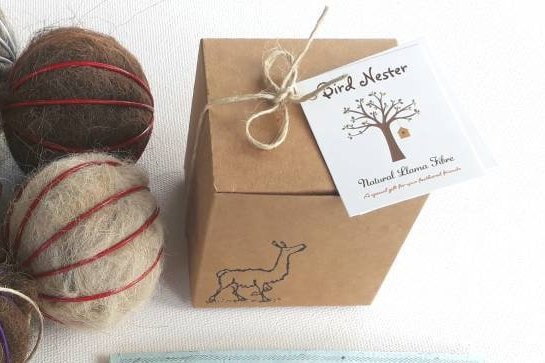 8 Bird Nesters: Gift boxed colourful stocking stuffers for children, teachers. Backyard bird lover, gardener and nature play accessory.