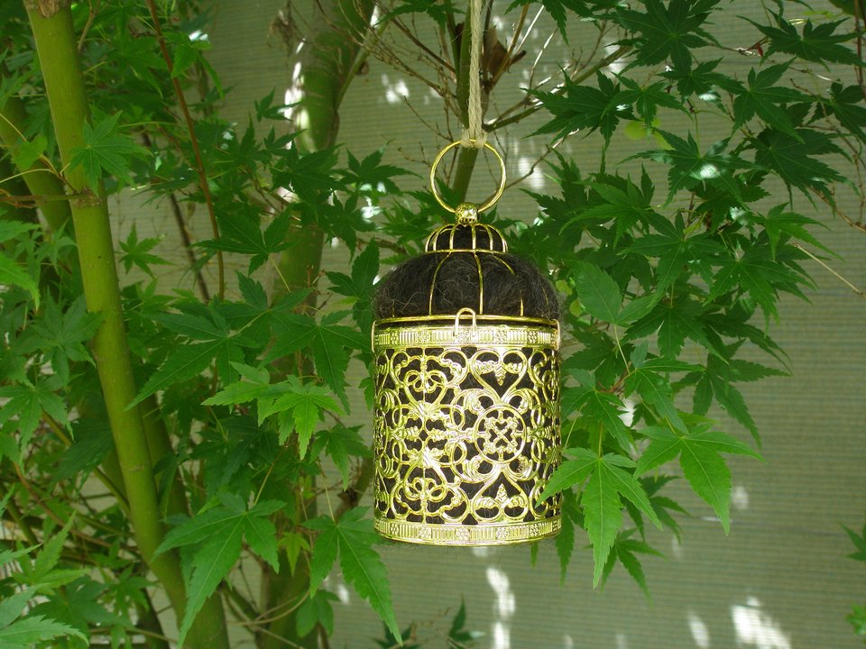 Gold Bird Nester for home isolation backyard gift with Llama Fibre Nest Building Material
