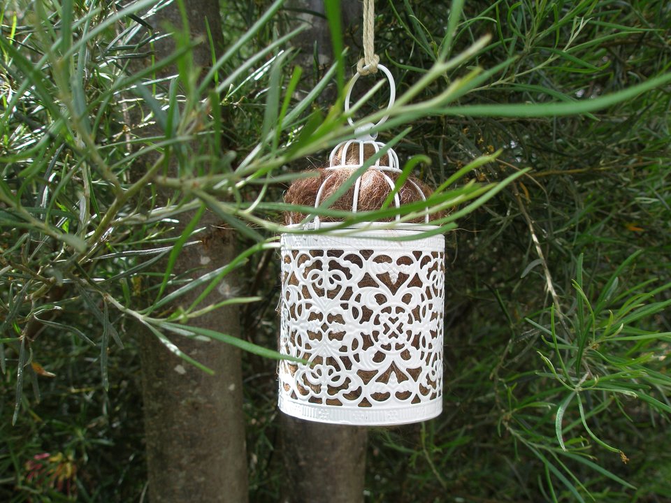 Bird Nester for home backyard or baclony gift, Llama Fibre Nest Building Material