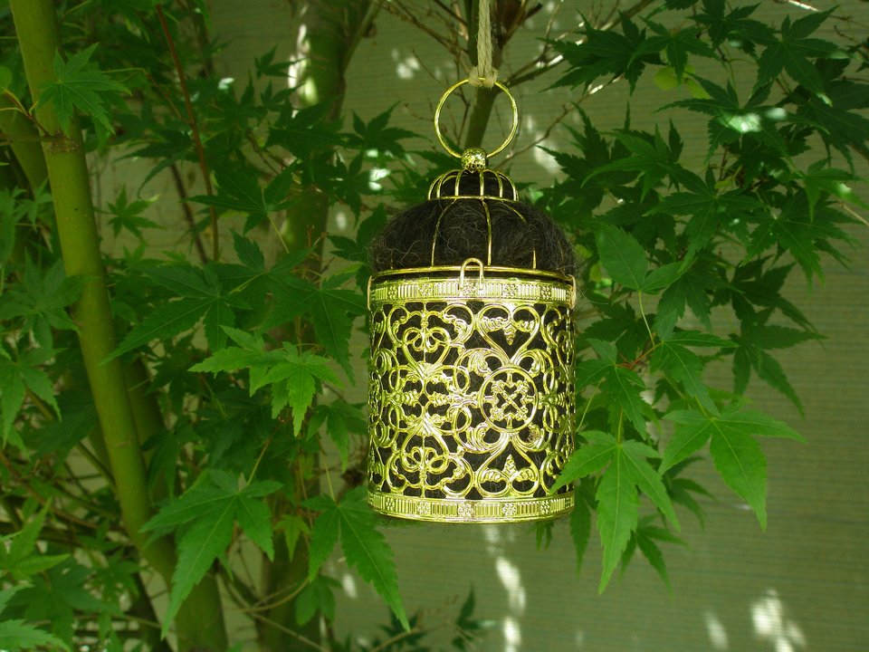 Gold Bird Nester for home isolation backyard gift with Llama Fibre Nest Building Material