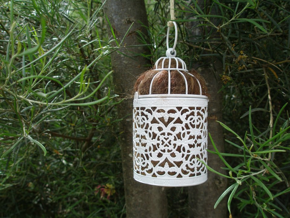 Bird Nester for home backyard or baclony gift, Llama Fibre Nest Building Material