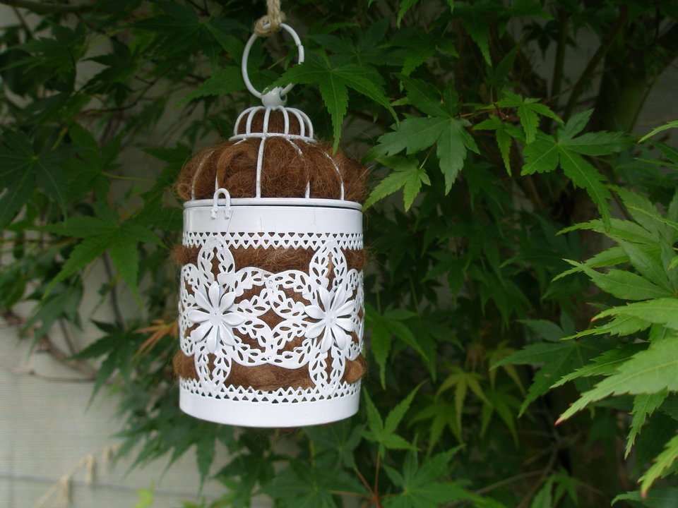 Bird Nester for visiting birds, home backyard or baclony gift, Llama Fibre Nest Building Material