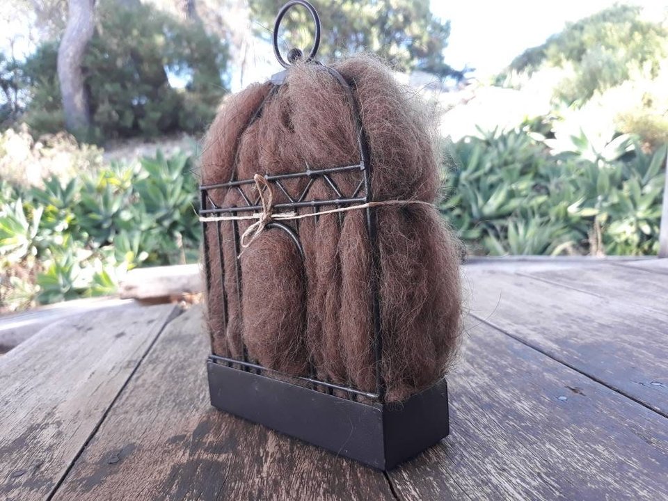 Narrow Bird Nester for Wall, Bird Nesting Llama Fibre, Gift for Garden, Housewarming present, Backyard Gift Idea, Eco Gift for home gardener
