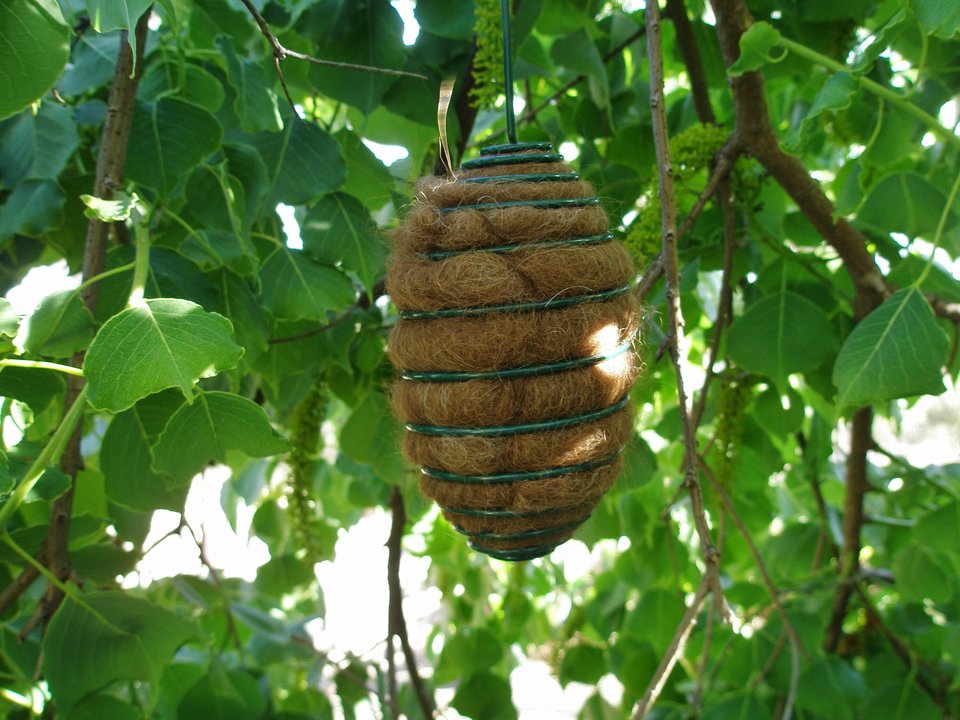 Hanging Bird Nester, Llama Fibre Nesting Material for Wildlife. Gift for Birds, Eco Friendly Garden, aged care home. Bird lover Christmas