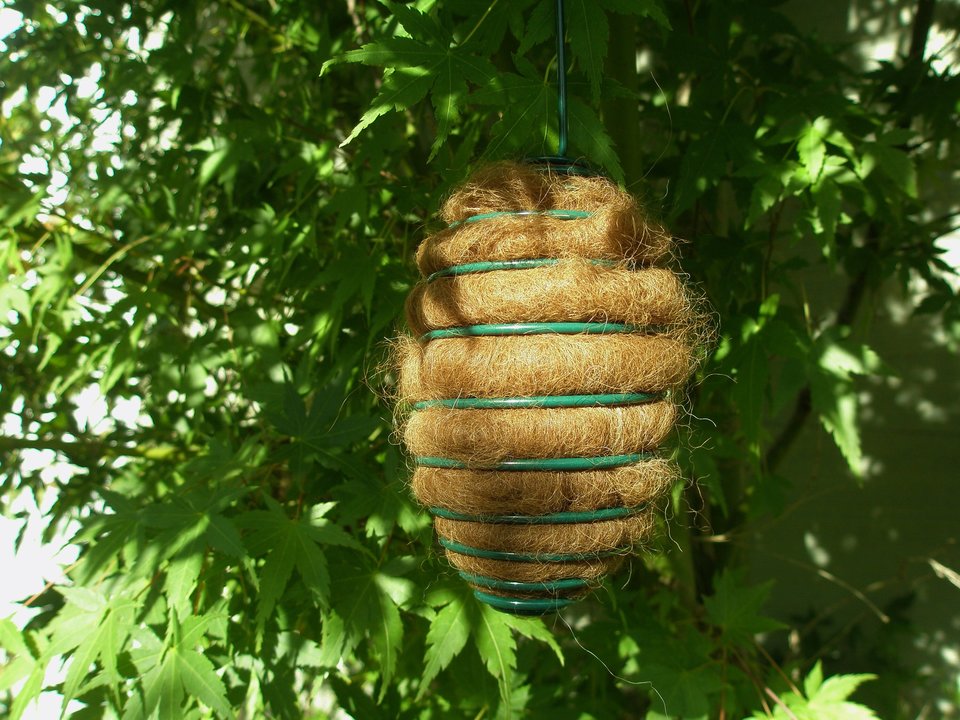 Hanging Bird Nester, Llama Fibre Nesting Material for Wildlife. Gift for Birds, Eco Friendly Garden, aged care home. Bird lover Christmas