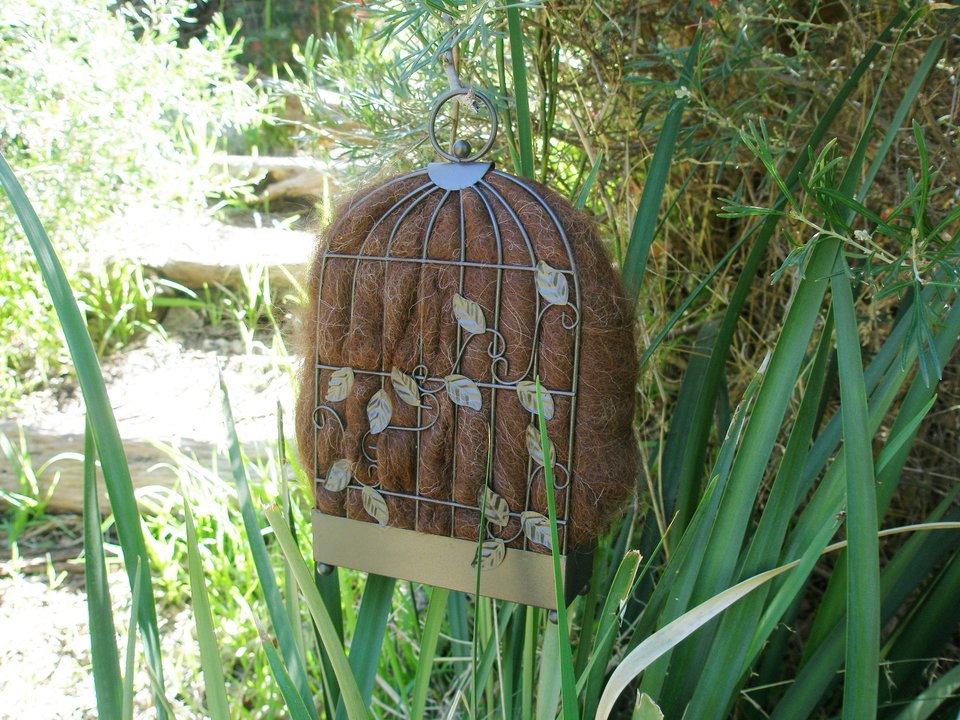 Narrow Bird Nester for Wall. Bird Nesting Llama Fibre Gift for Garden. Housewarming or Backyard Nature Gift Idea. Eco home gardener