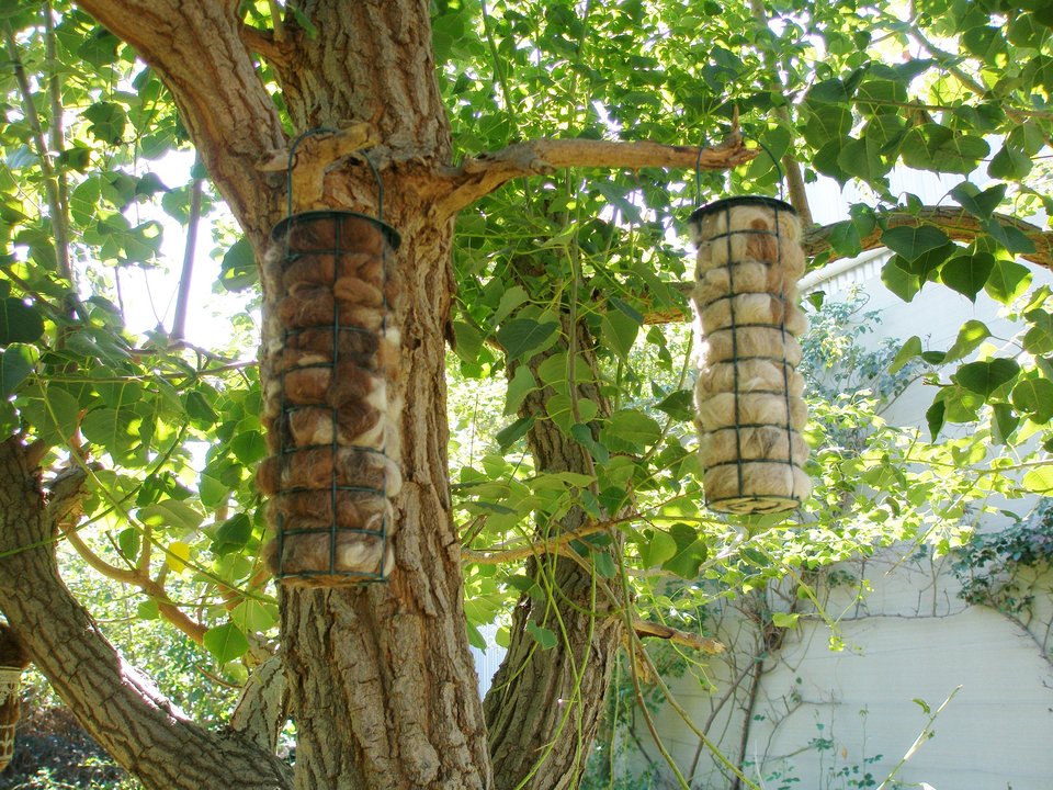 Bird Nester. Llama Fibre Nesting Material. Garden Isolation Backyard Gift Idea for Home gardener.  Natural Bird house filler