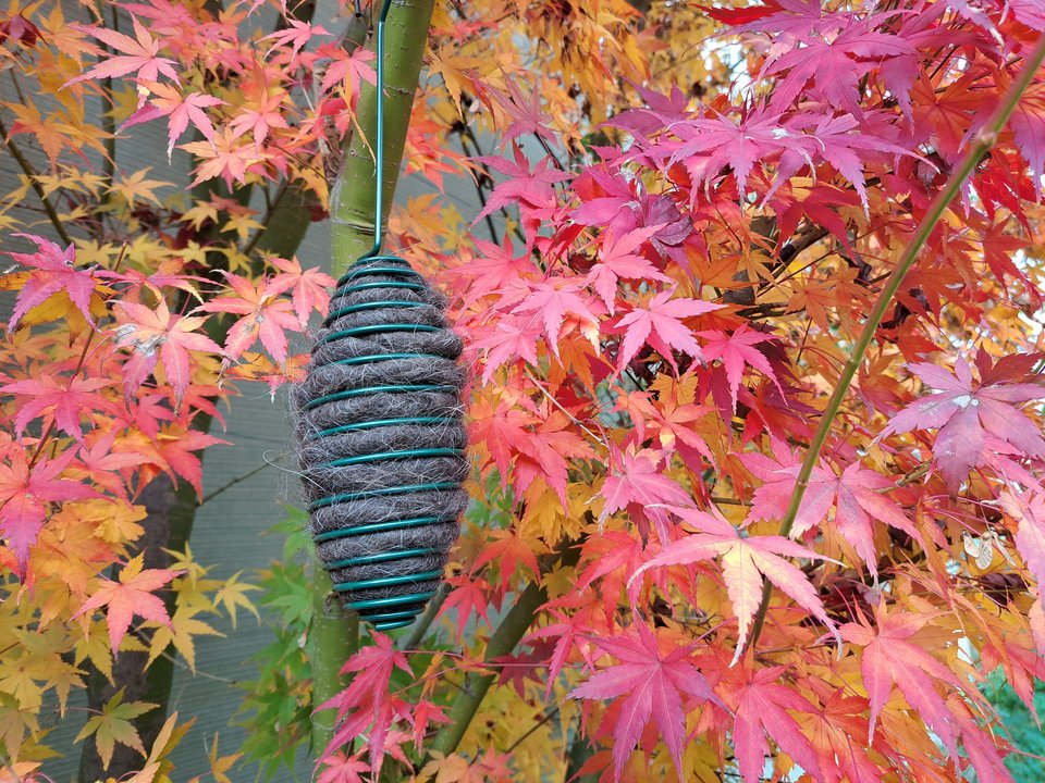 Hanging Bird Nester with Llama Fibre Nesting Material for Birds. Ideal for Eco Friendly Gardens. Gardener gifts and nature playgrounds