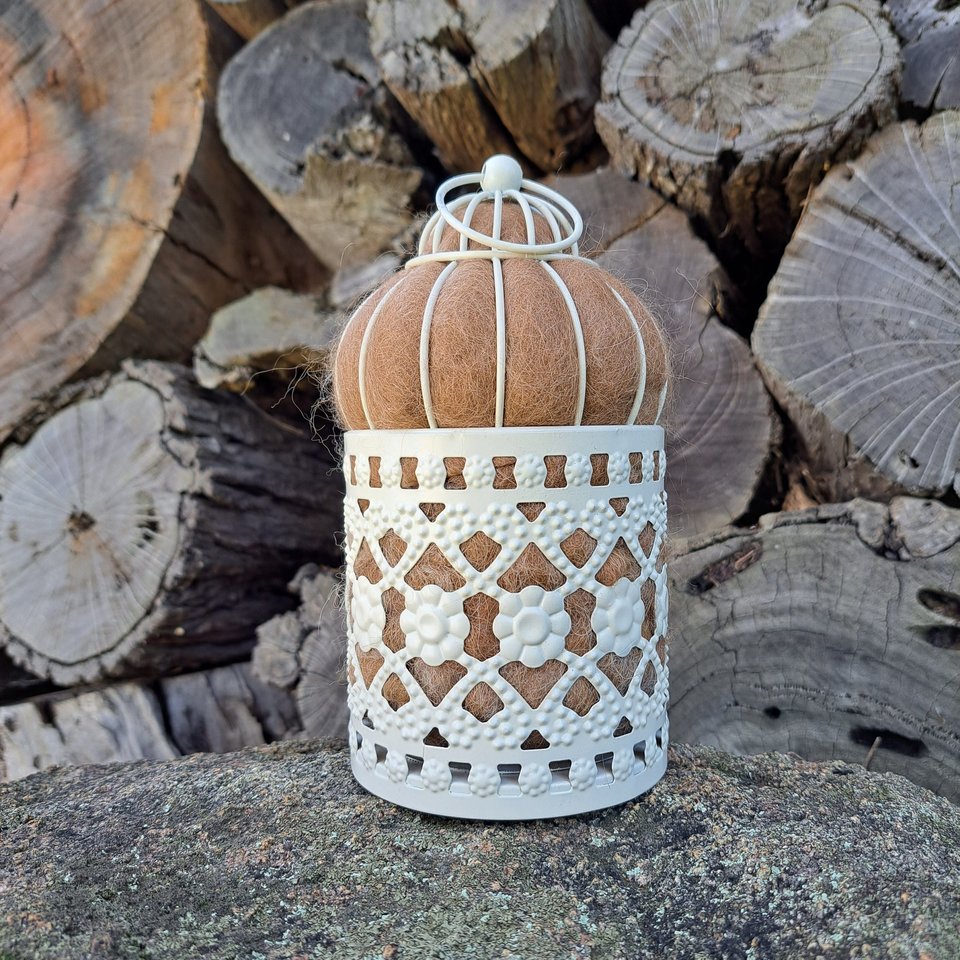 Bird Nester for native birds. Home maker gift with llama fiber nest building material from Australia. Outdoor Decorative Style