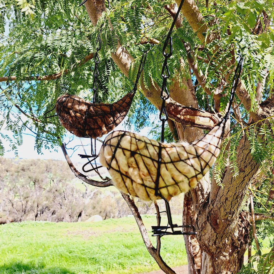 Larger Llama fibre bird nester for outdoor gift. Idea for home gardener and nature lover full of natural nest material for nesting birds