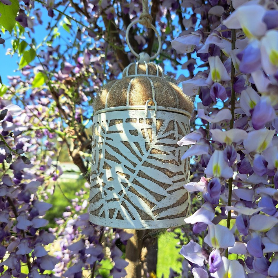 Bird Nester packed with Llama Fiber Nesting Material to for Native Birds in your Garden. Outdoor lantern Gift Idea for nature lover