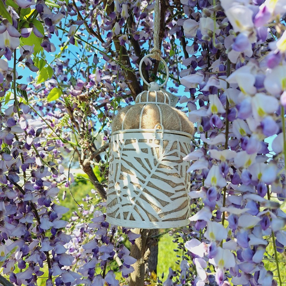 Bird Nester packed with Llama Fiber Nesting Material to for Native Birds in your Garden. Outdoor lantern Gift Idea for nature lover