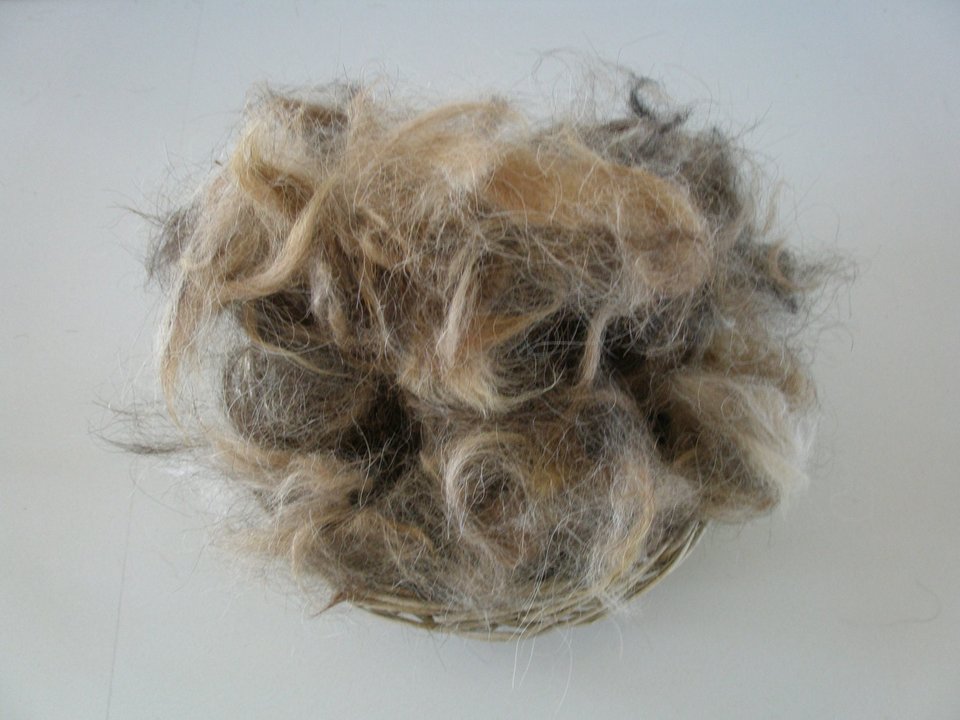 Bird Nesting Material. Llama Wildlife Nest Filler. Bird Nester Refill. Aviary Supplies