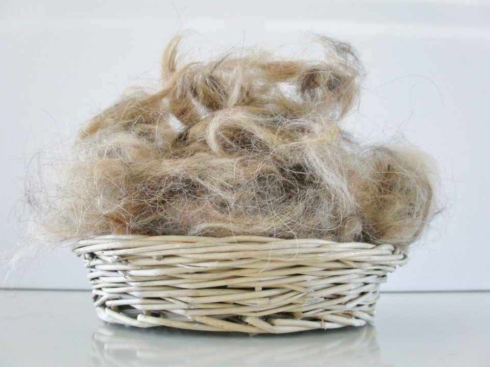 Bird Nesting Material. Llama Wildlife Nest Filler. Bird Nester Refill. Aviary Supplies