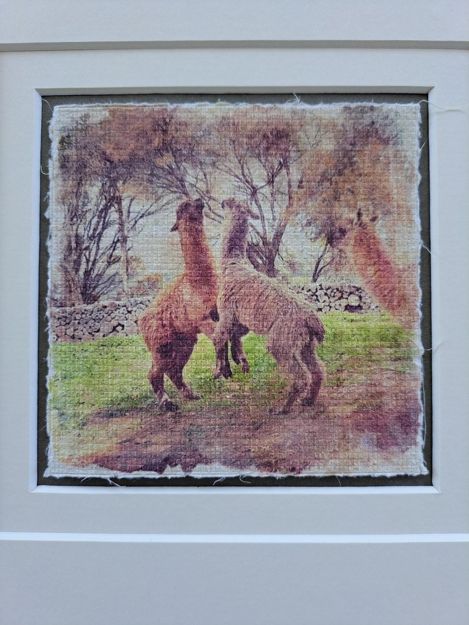 llama artwork "Playtime"