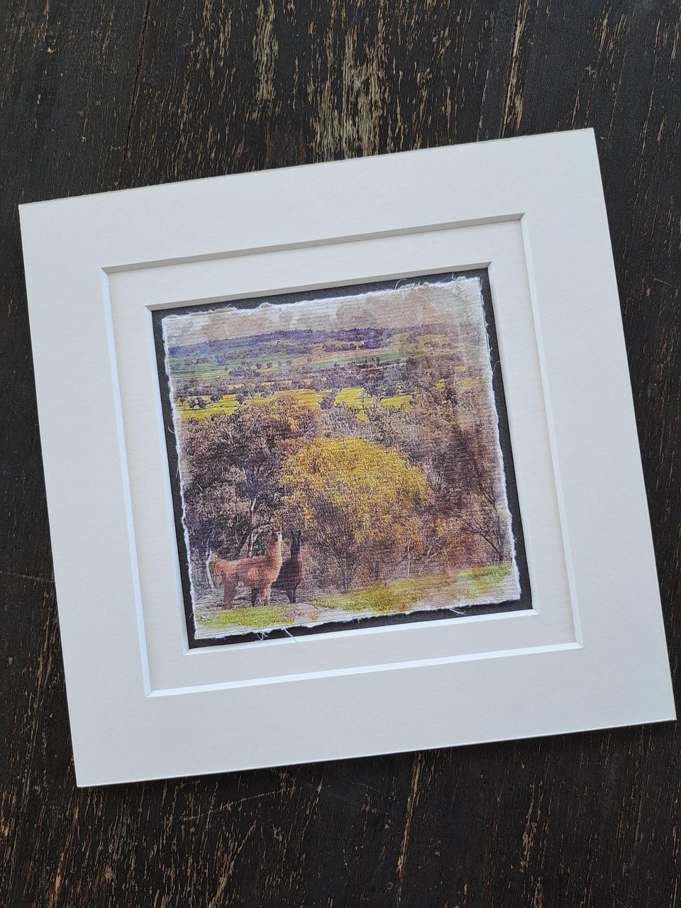 Mini llama artwork "Two to the Side"