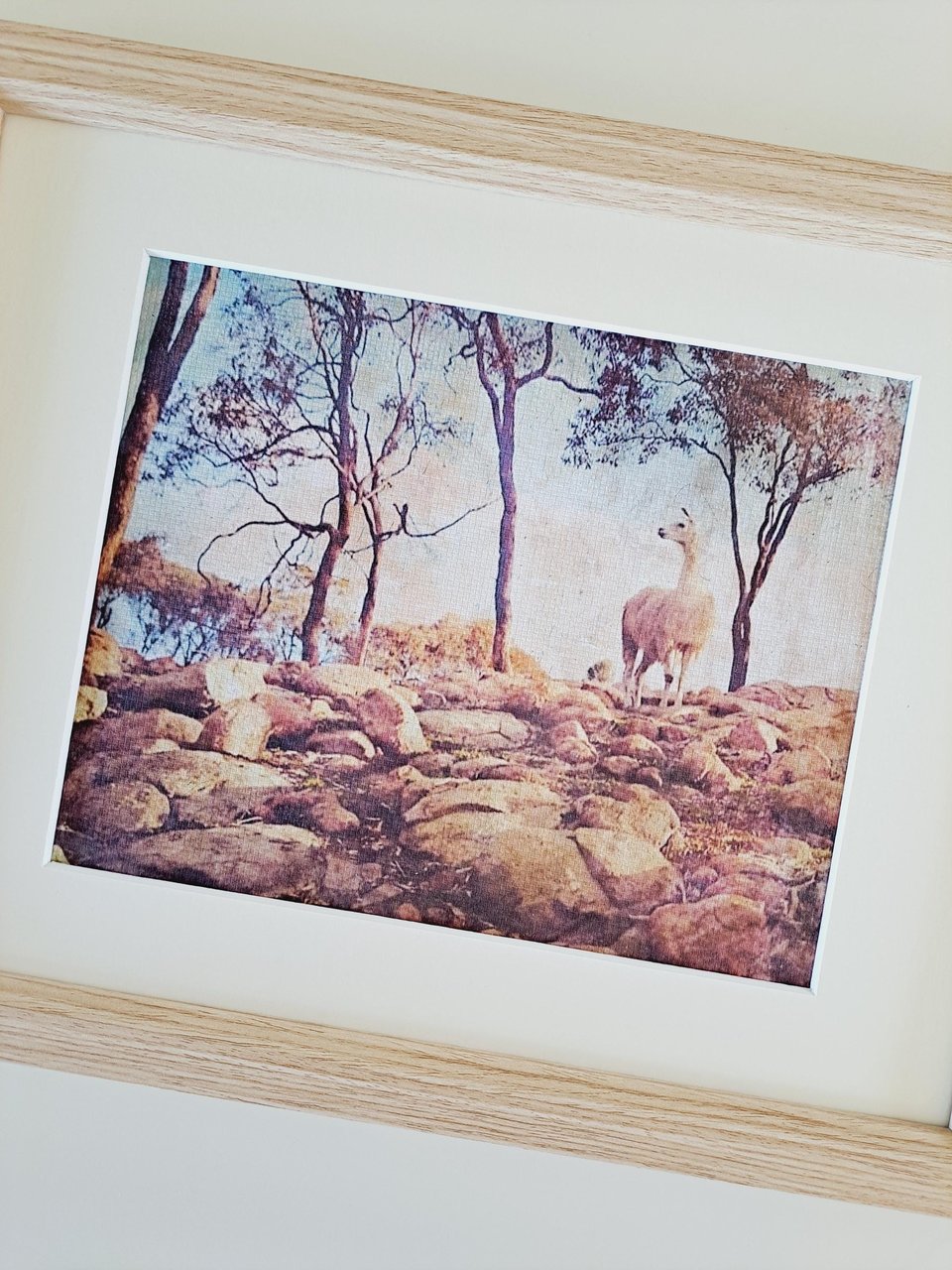 Llama artwork "The Sentinel"