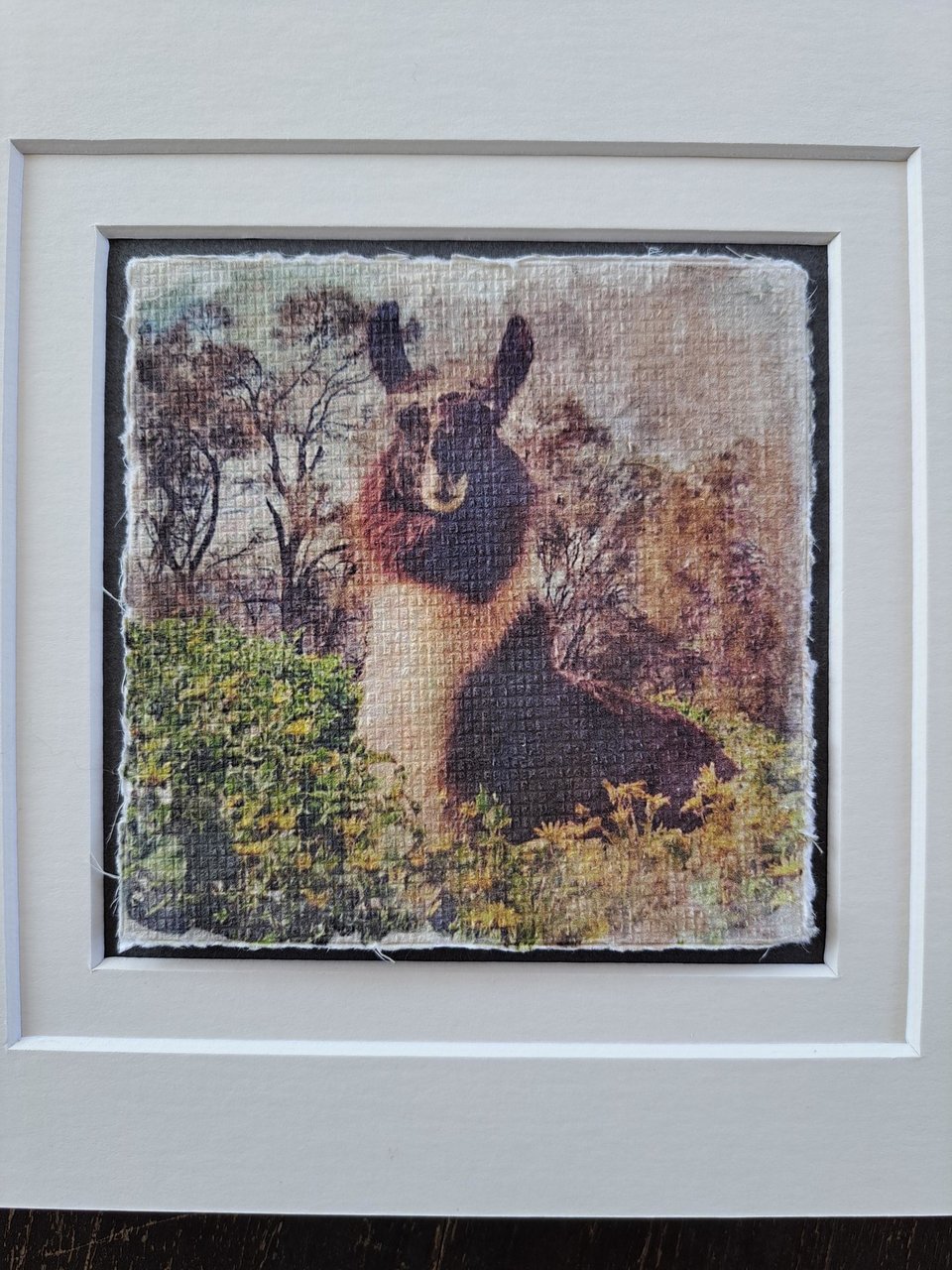 Miniature llama artwork "Sitting Pretty"