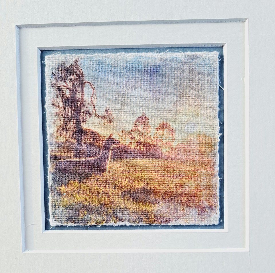 sunlit llama resting artwork