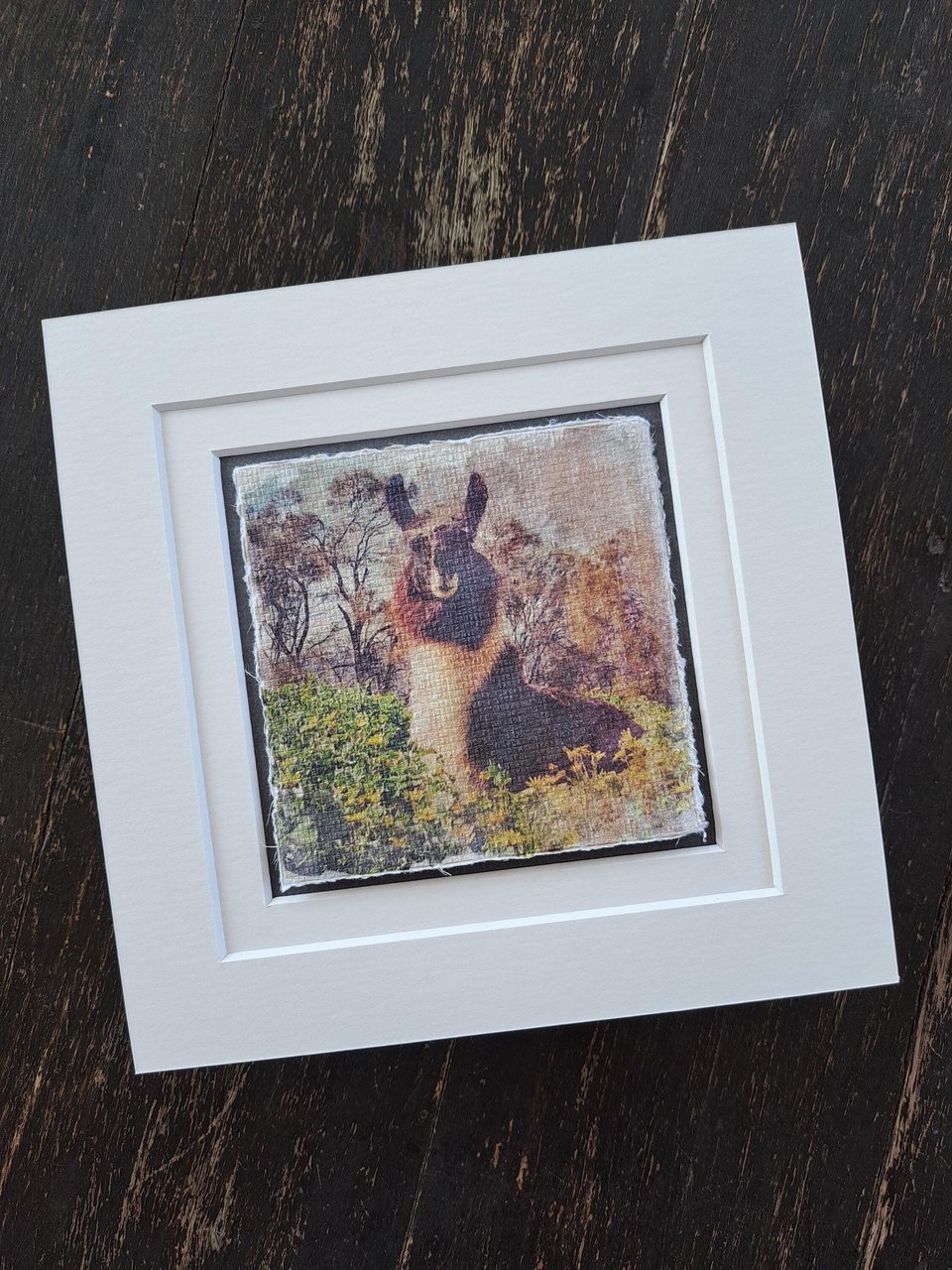 Miniature llama artwork "Sitting Pretty"
