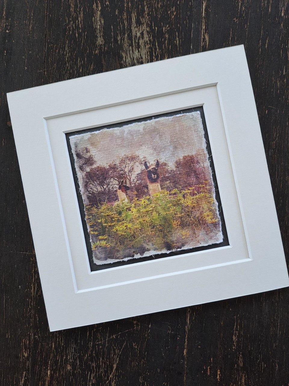 Miniature llama artwork "Amongst the Capeweed"
