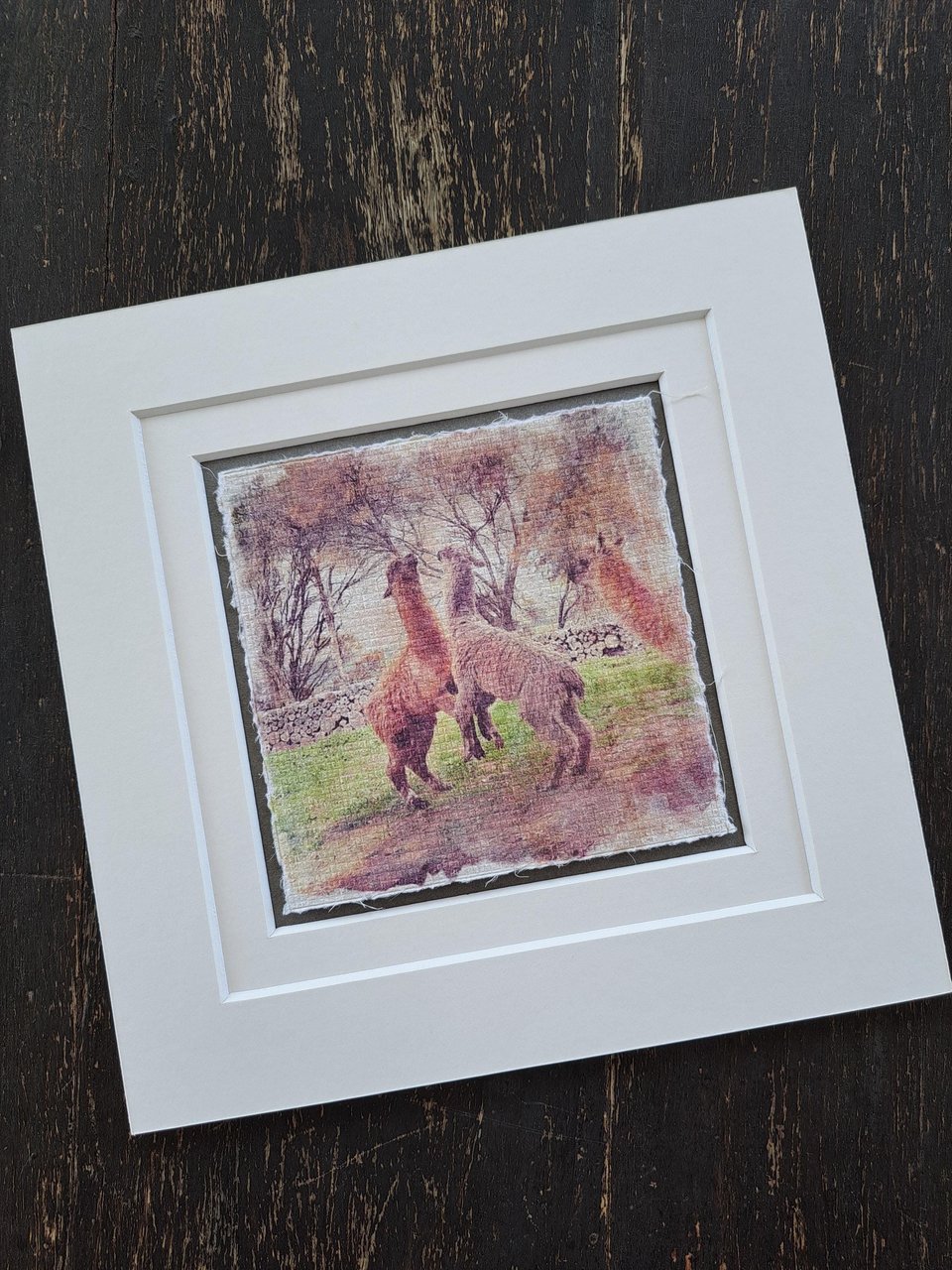 llama artwork "Playtime"