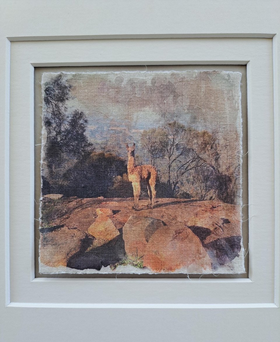 Miniature llama artwork "Bolder than she Looks"