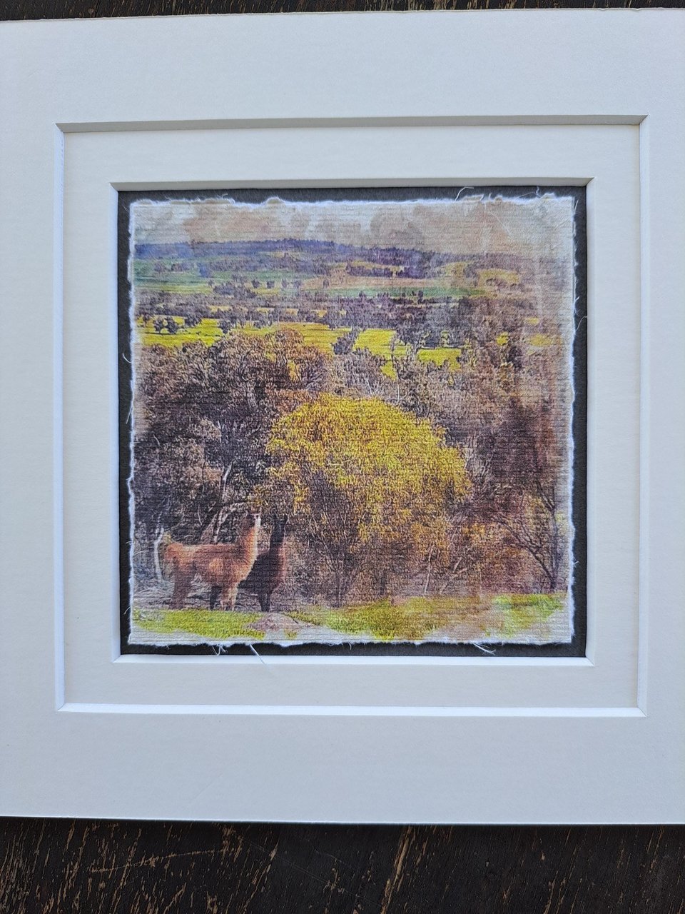 Mini llama artwork "Two to the Side"