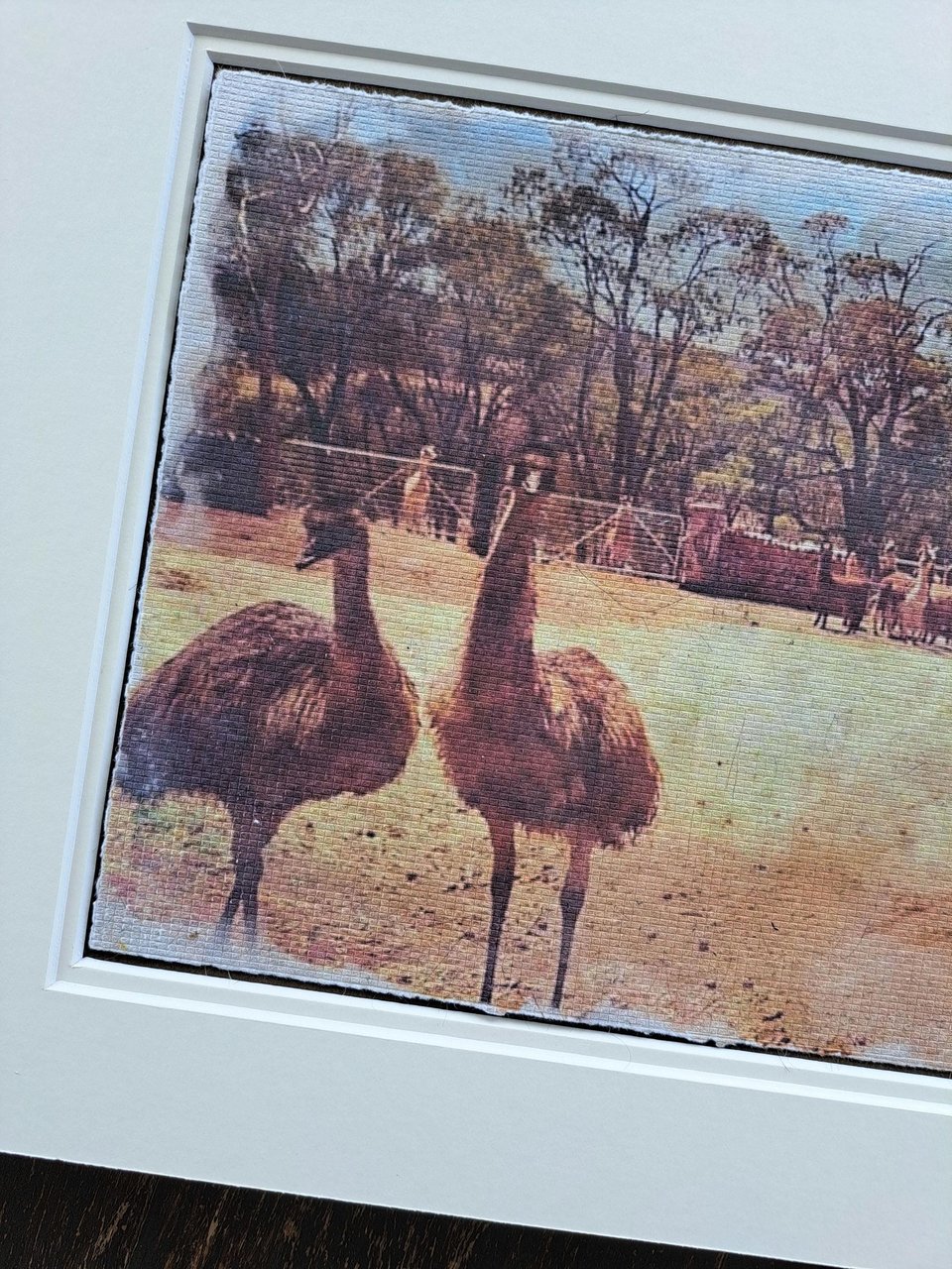 Llama artwork "Emus out Front"