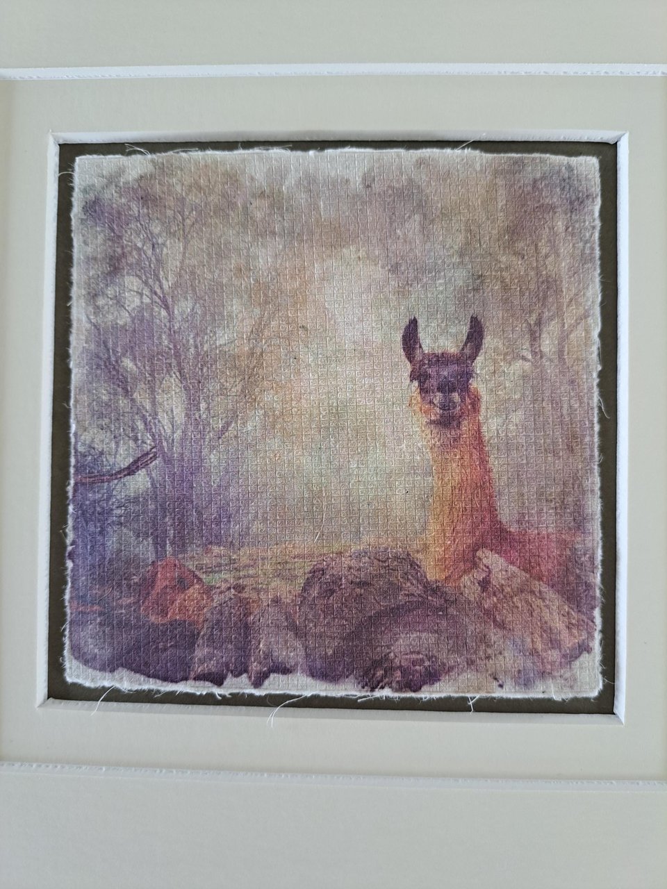 Llama Art  "Smile in the Mist"
