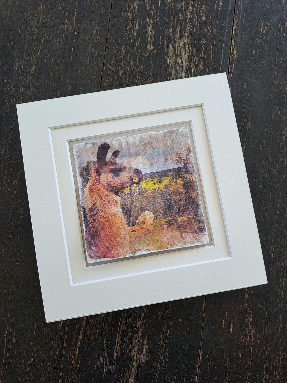 Mini Llama Print. "Flower Girl"