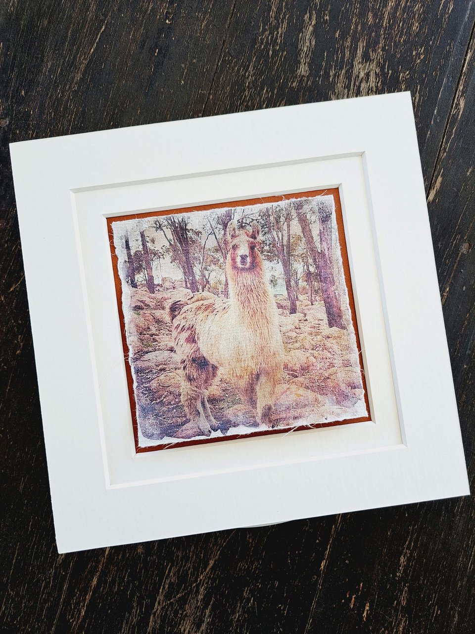 Mini Llama art print. "What's Up?"