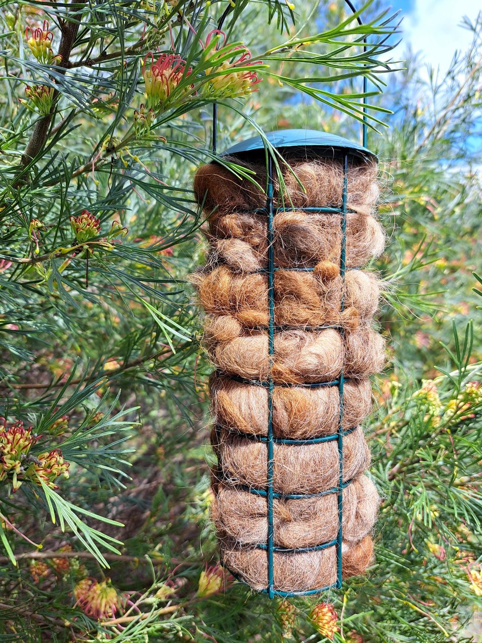Bird Nester. Llama Fibre Nesting Material for backyard bird nests and birdhouses. SMALLER VERSION green metal hanging holder.
