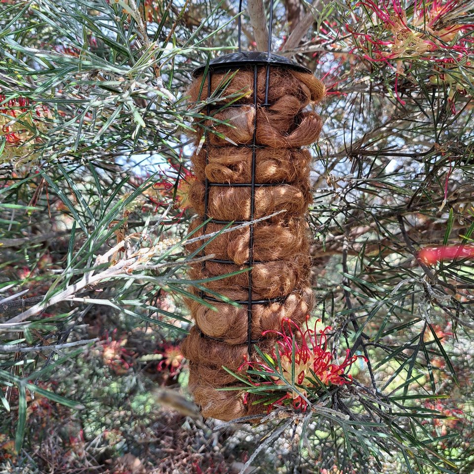Llama Fibre Bird Nester: Natural Nesting Material in Black Holder