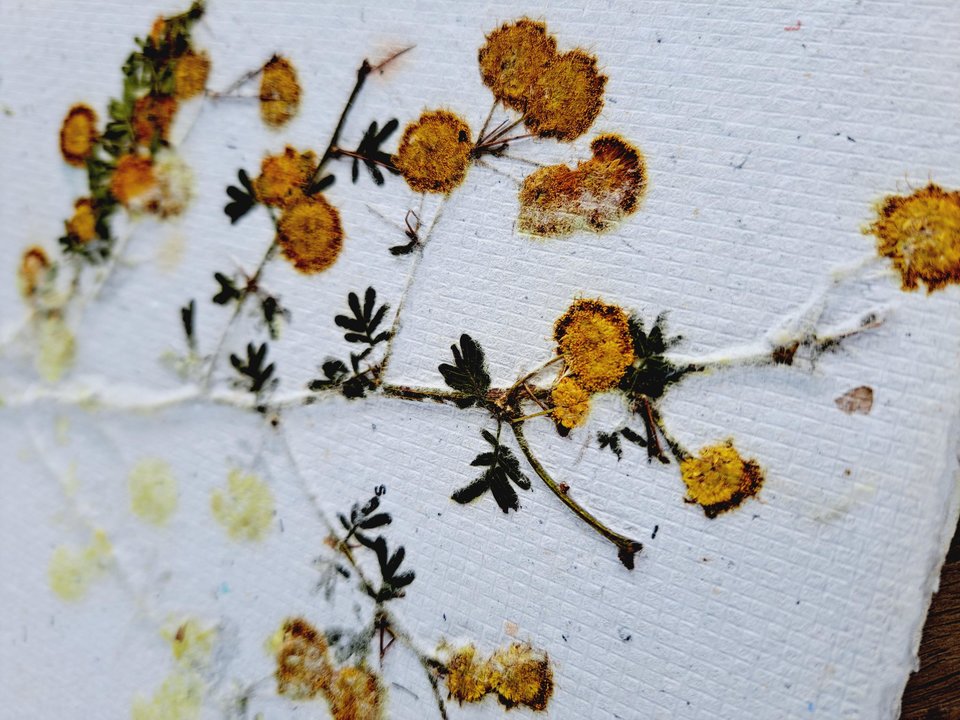 Flower Handmade recycled paper journal / notebook with binder rings and botanicals / petals. Extra pages available.