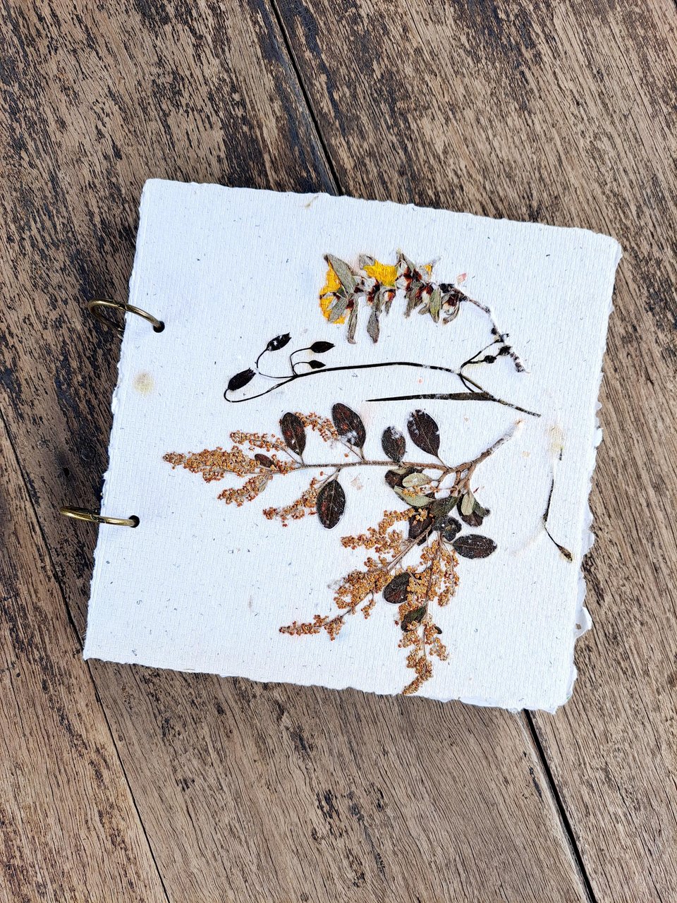 Handmade recycled paper journal / notebook with dried flower cover, binder rings and pages with botanicals / petals. Extra pages available.