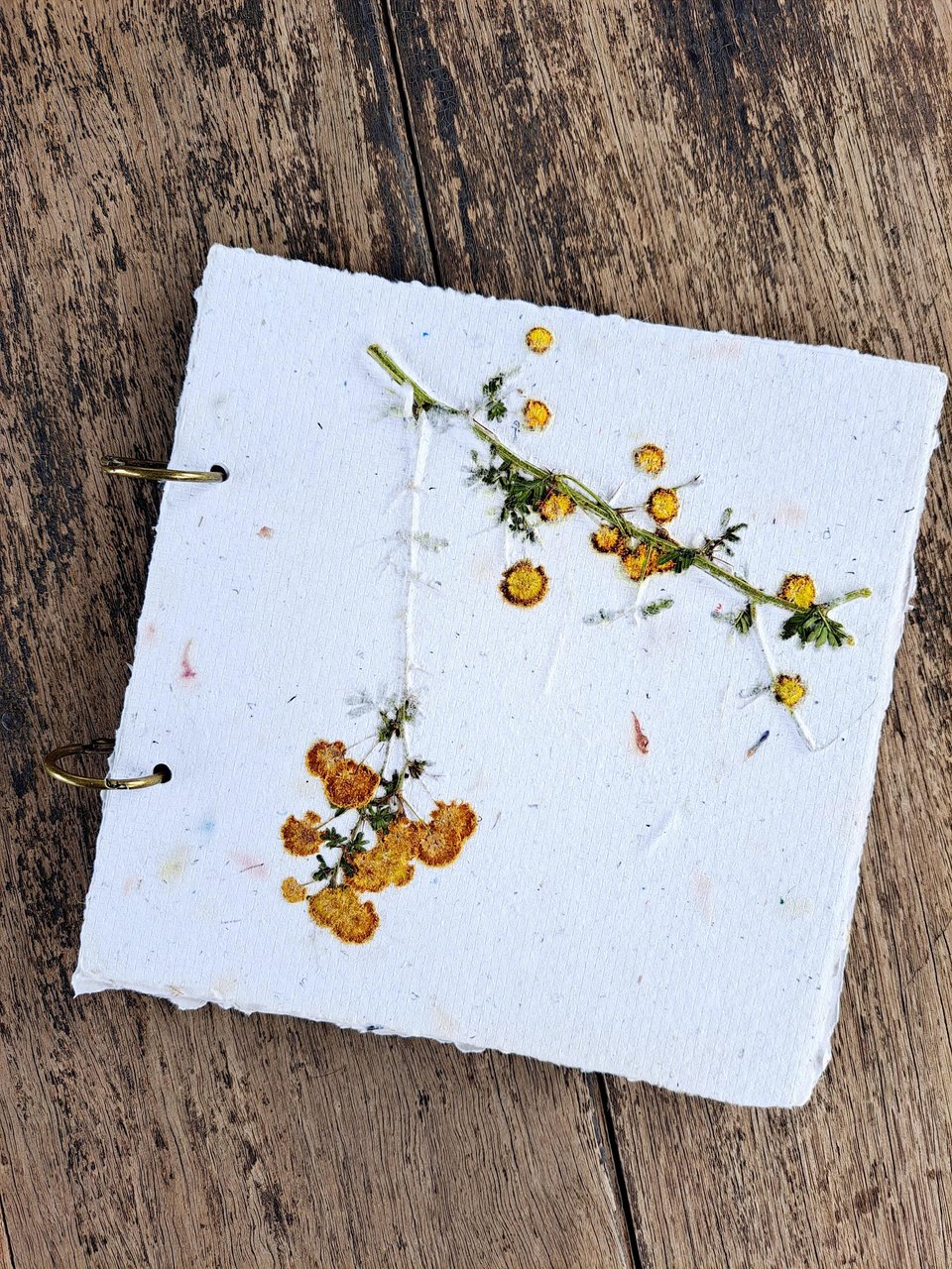 Handmade recycled paper journal / notebook with dried flower cover, binder rings and pages with botanicals / petals. Extra pages available.