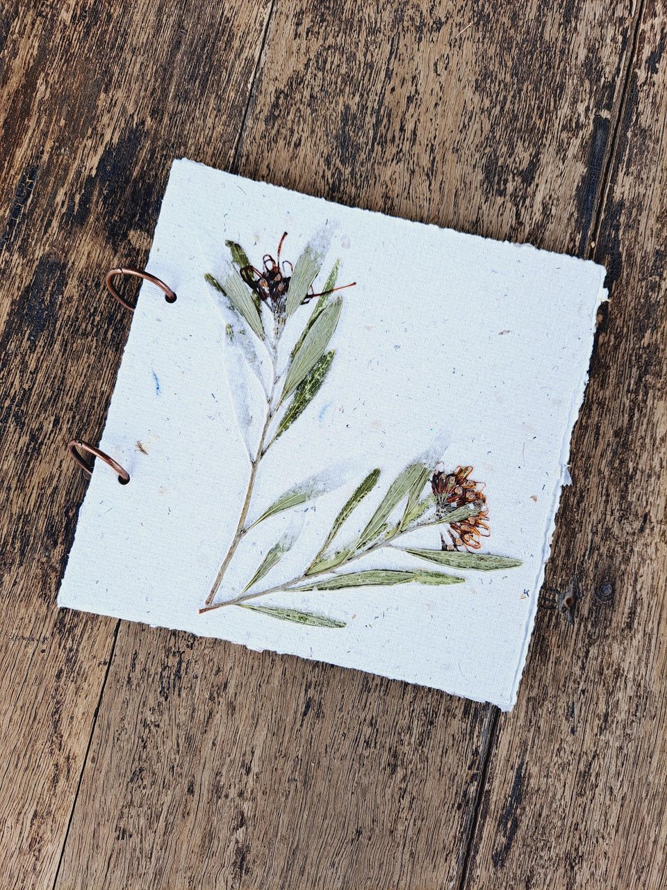 Handmade recycled paper journal / notebook with wattle or grevillea cover, binder rings and pages with botanicals / petals. Add Extra pages